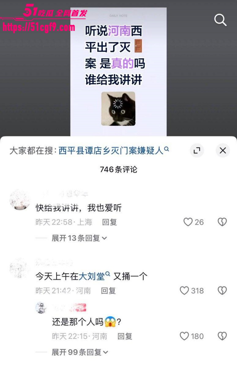河南西平县重大刑案 26