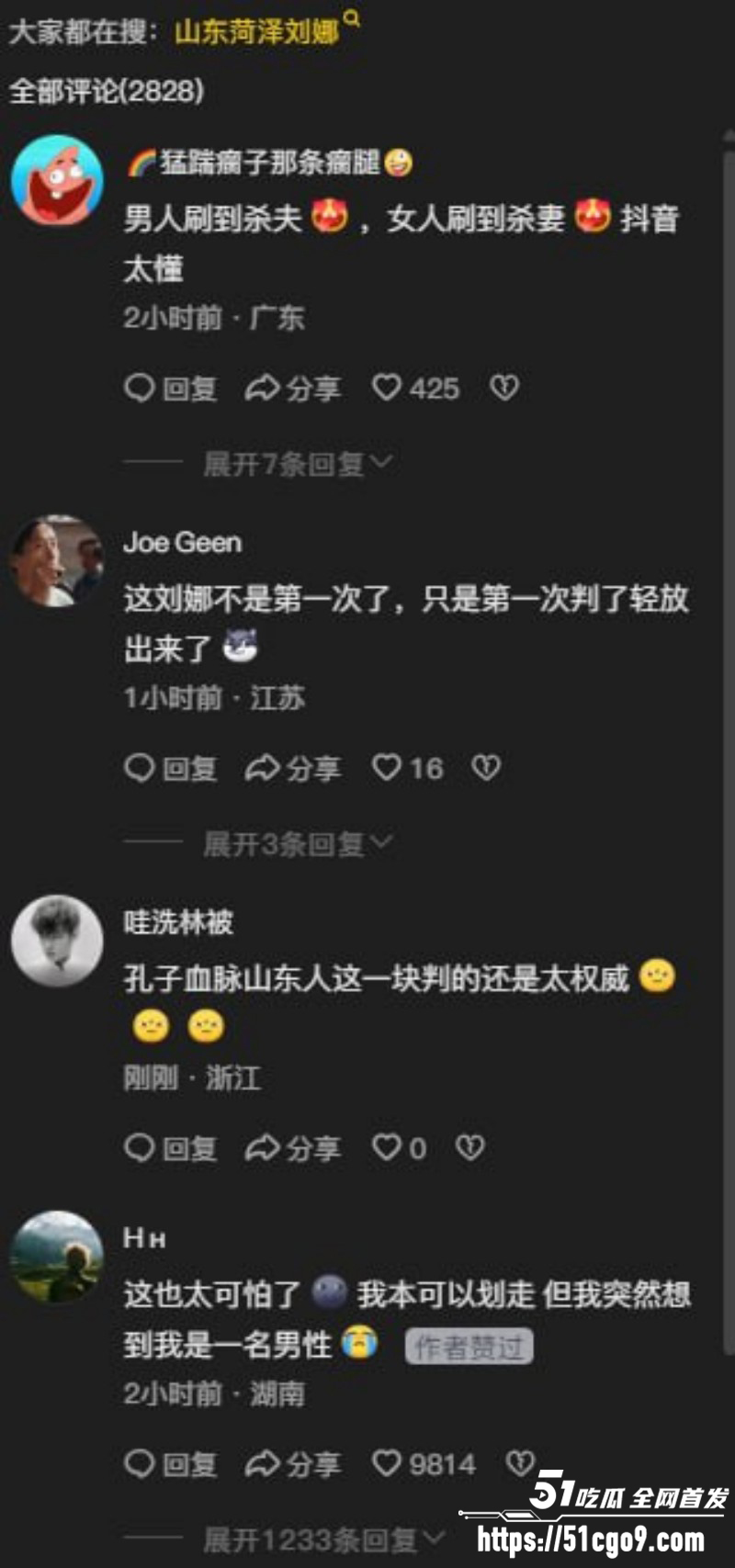 山东菏泽刘娜杀夫案017
