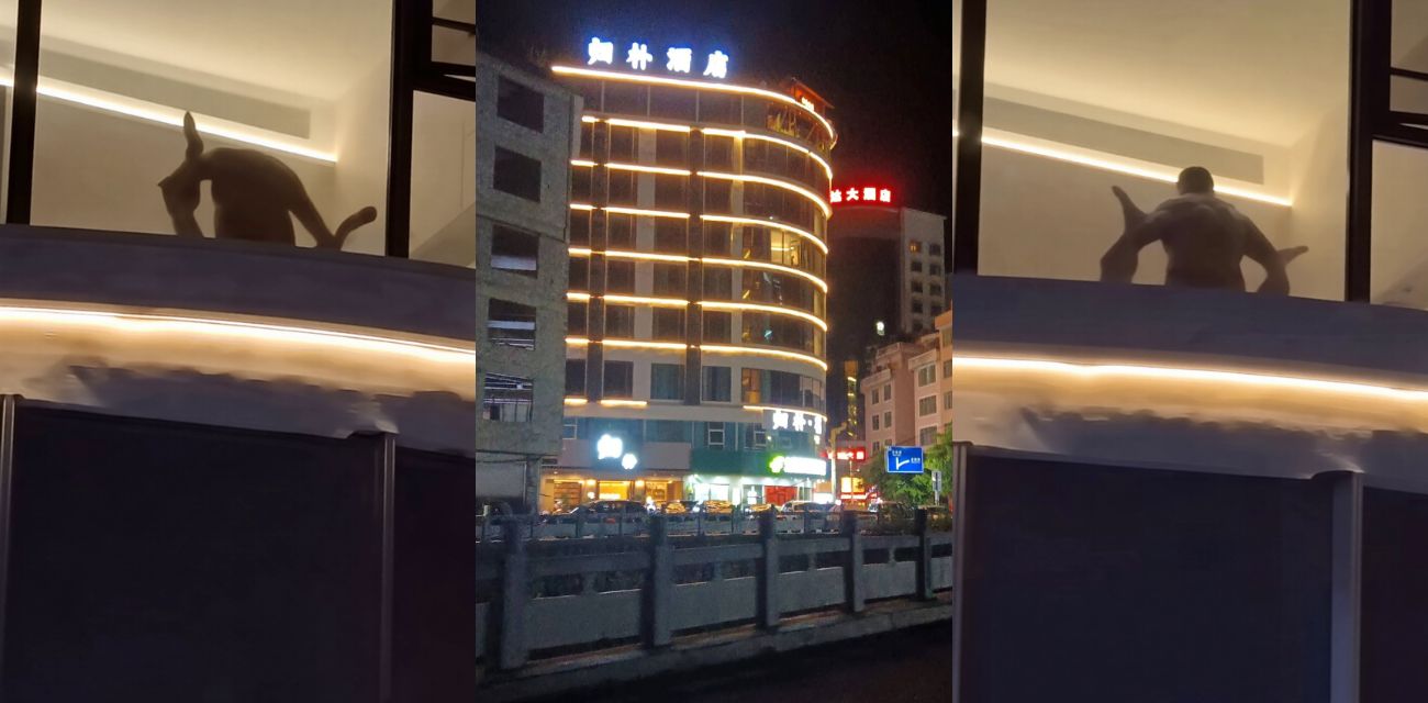 巴马归朴酒店惊现香艳一幕 情侣落地窗前做爱引人围观 美腿大开任由炮友猛攻