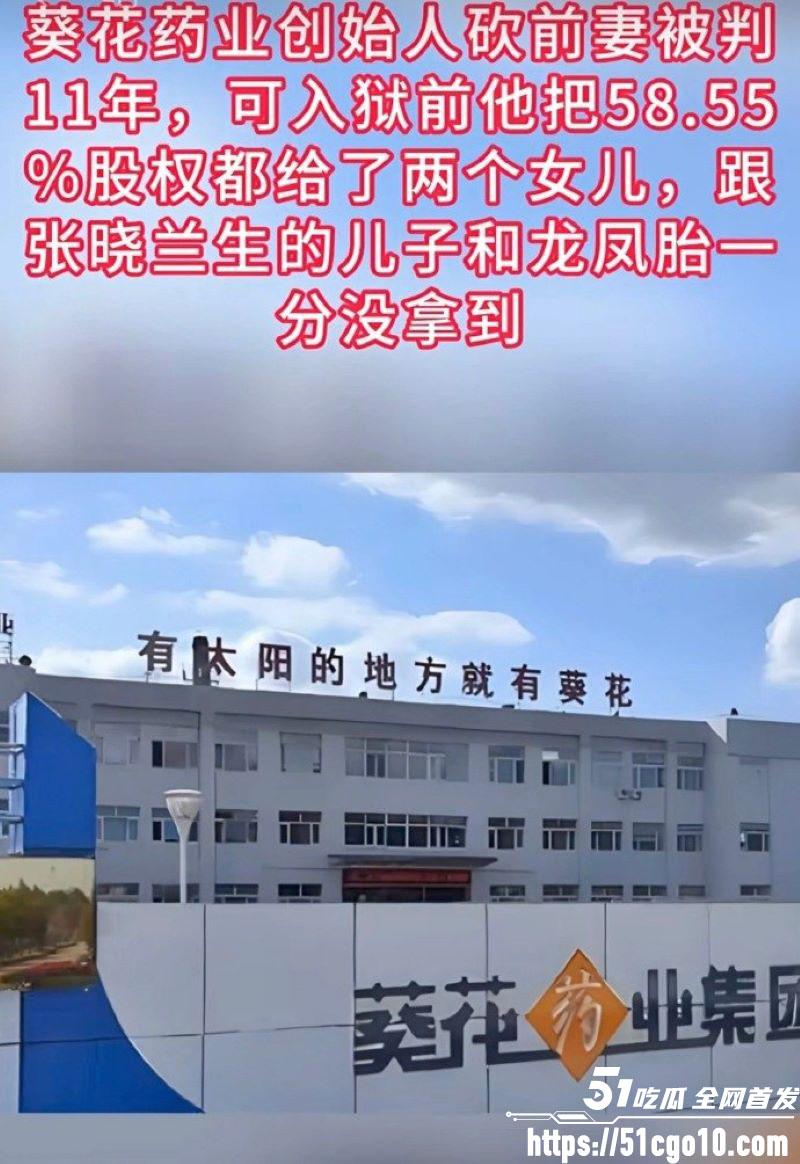 葵花药业关彦斌杀妻案  6
