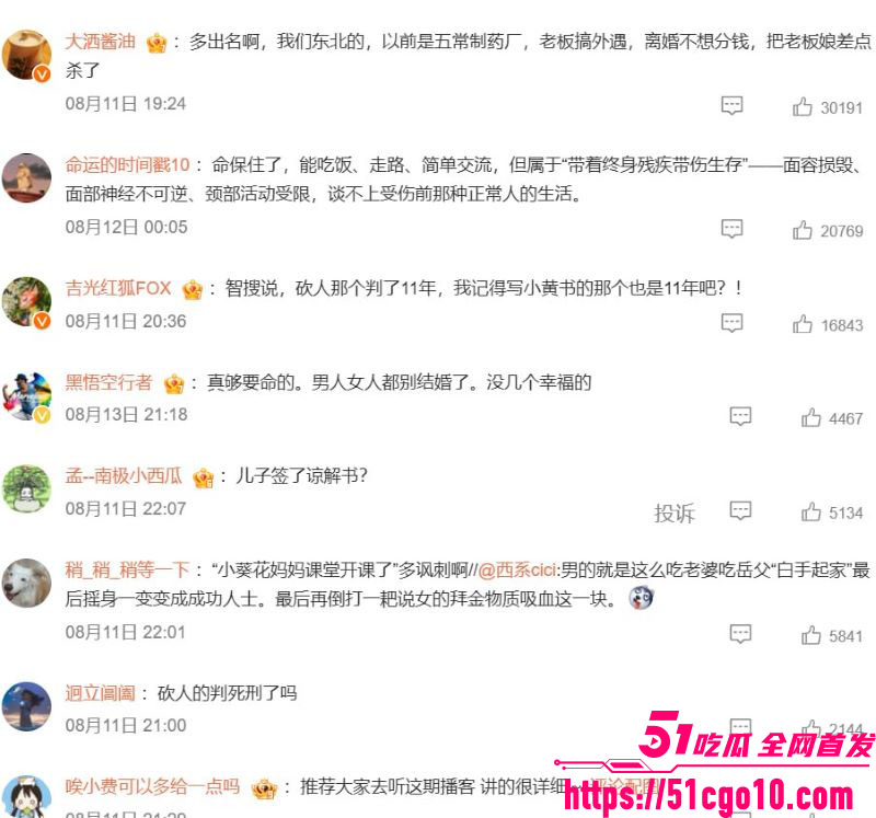 葵花药业关彦斌杀妻案  30