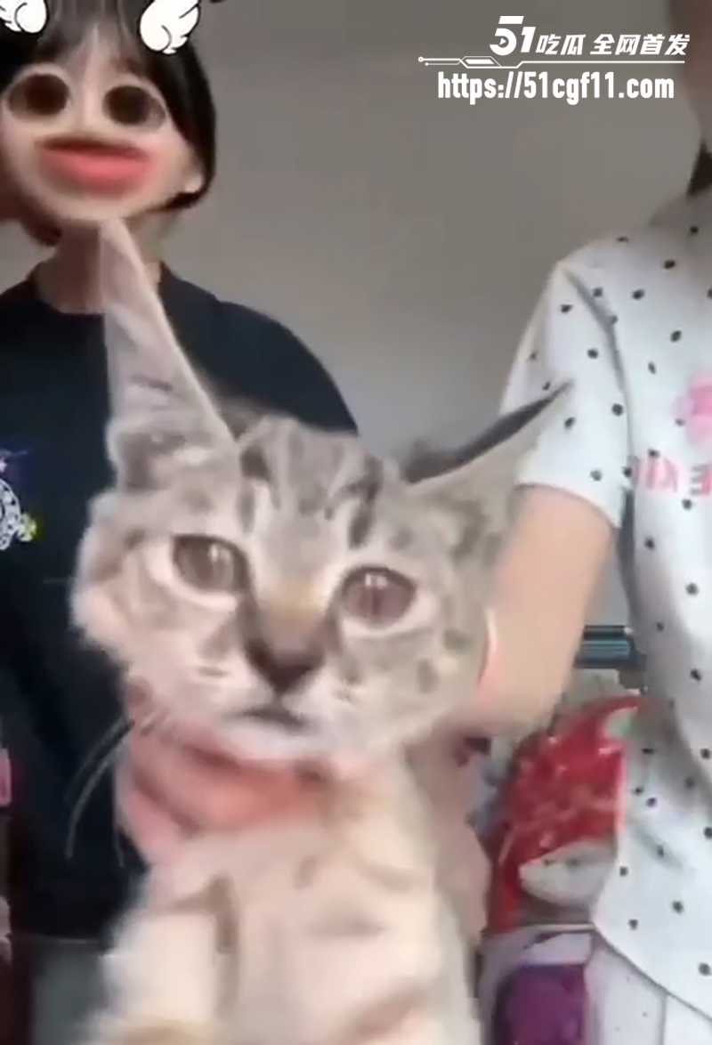 快手两个女生虐猫 4 拷贝