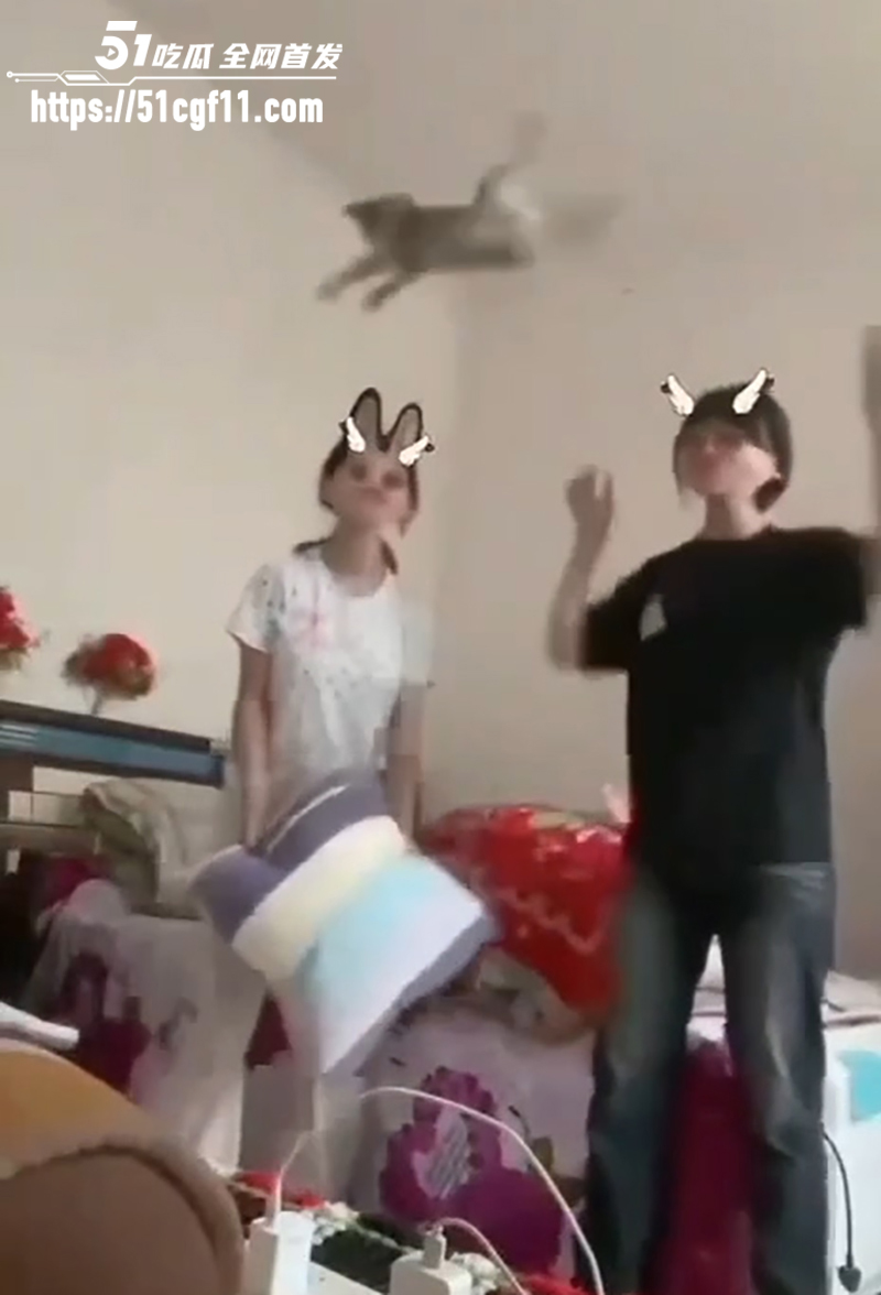 快手两个女生虐猫 7 拷贝