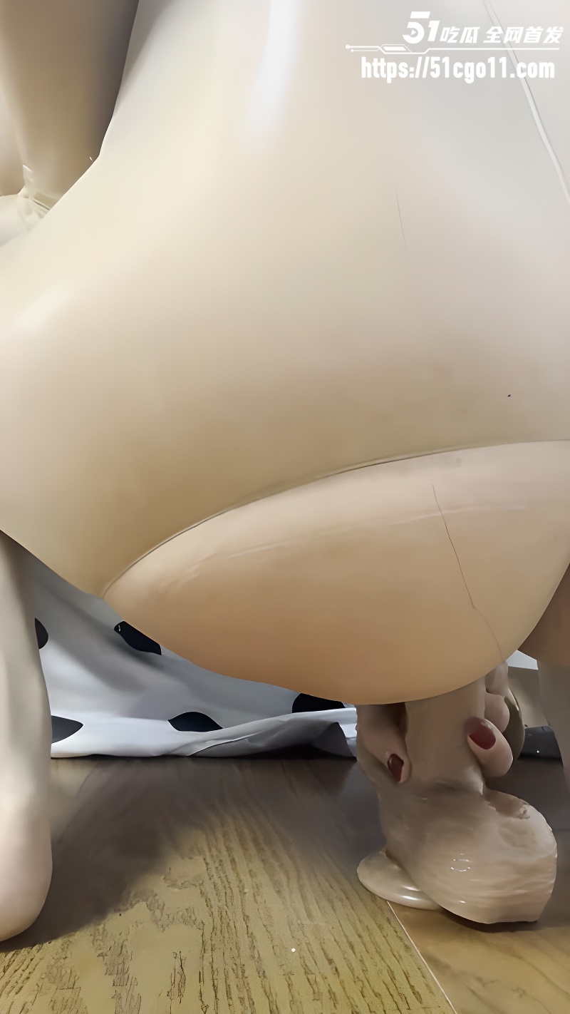 快手网红 雅茹 6