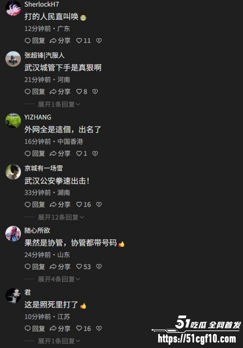武汉天桥打人事件08