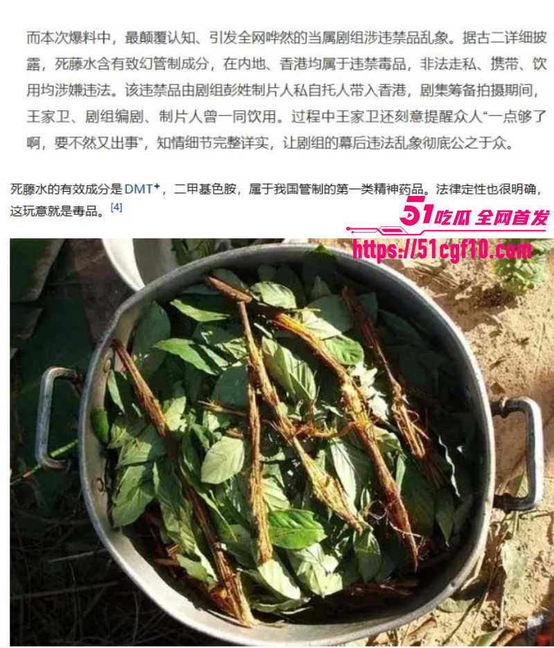 繁花剧组古二最新录音曝光013