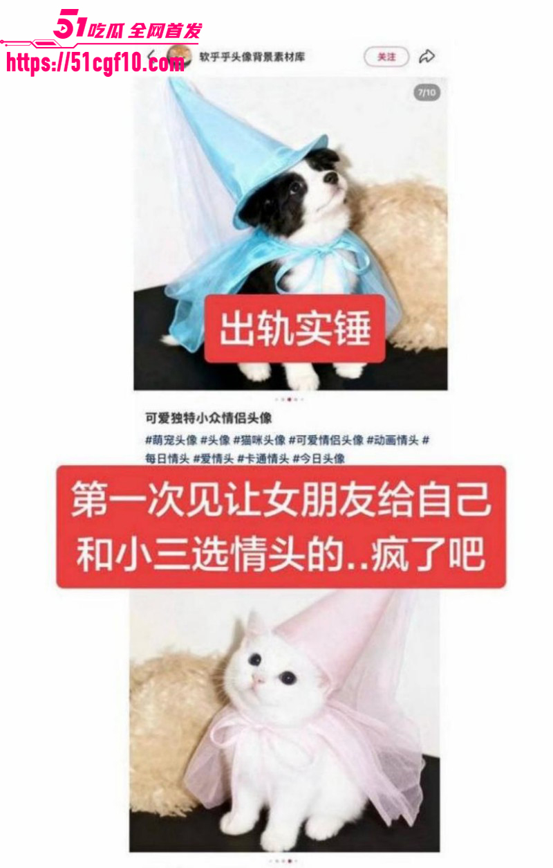 游泳运动员林繁绿出轨事件010