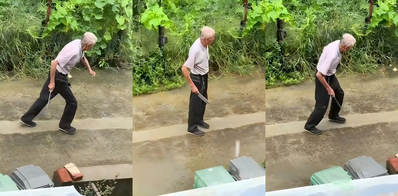 浙江白发老登 雨中持刀企图杀妻 这就是世人口中的爱情？