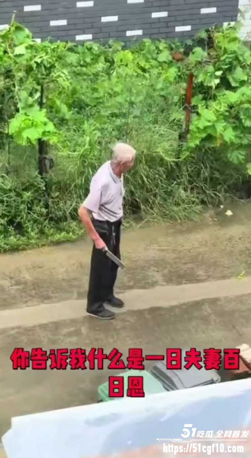 浙江白发老登 雨中持刀企图杀妻 这就是世人口中的爱情？