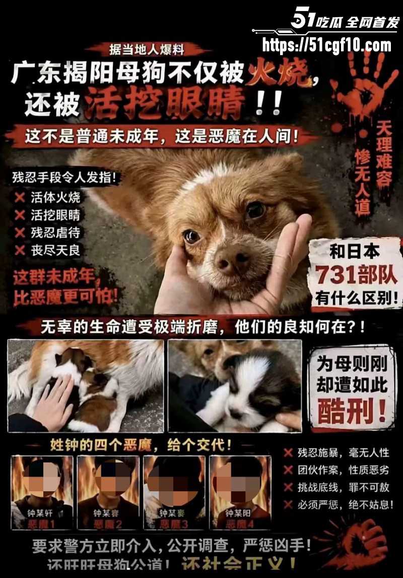 广东揭阳4人虐狗事件 浇油火烧活挖眼睛 天生坏种引发网友震怒！