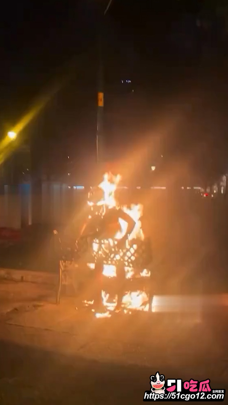 越南圣母大教堂自焚事件 2