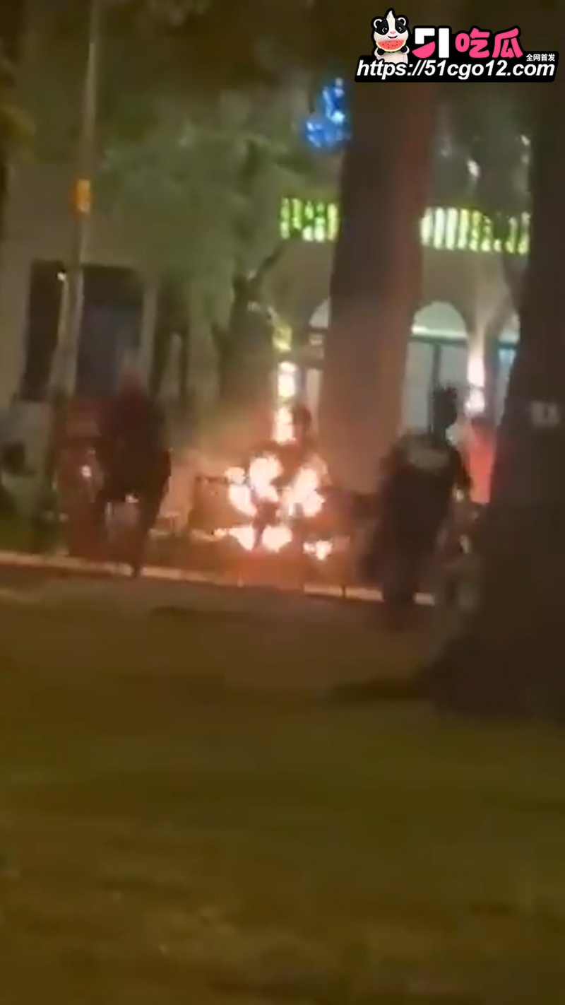 越南圣母大教堂自焚事件 7