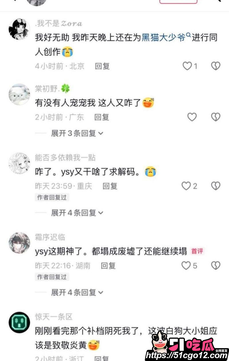 百万UP主黑猫大少爷再被实名投稿 30