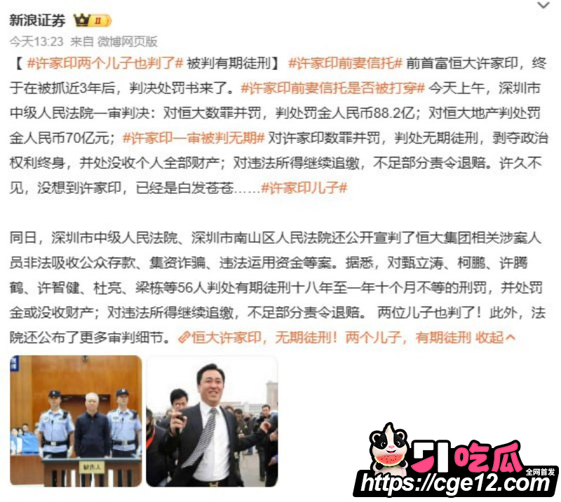 许家印被判无期徒刑010