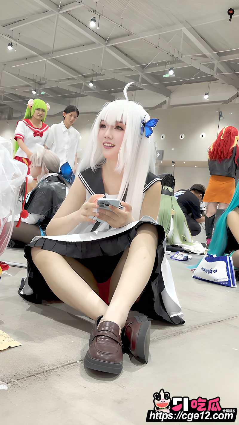 顶点大师裙底偷拍视频 2