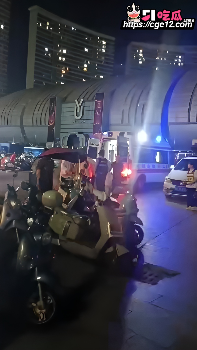 广西玉林十字街砍人事件 2