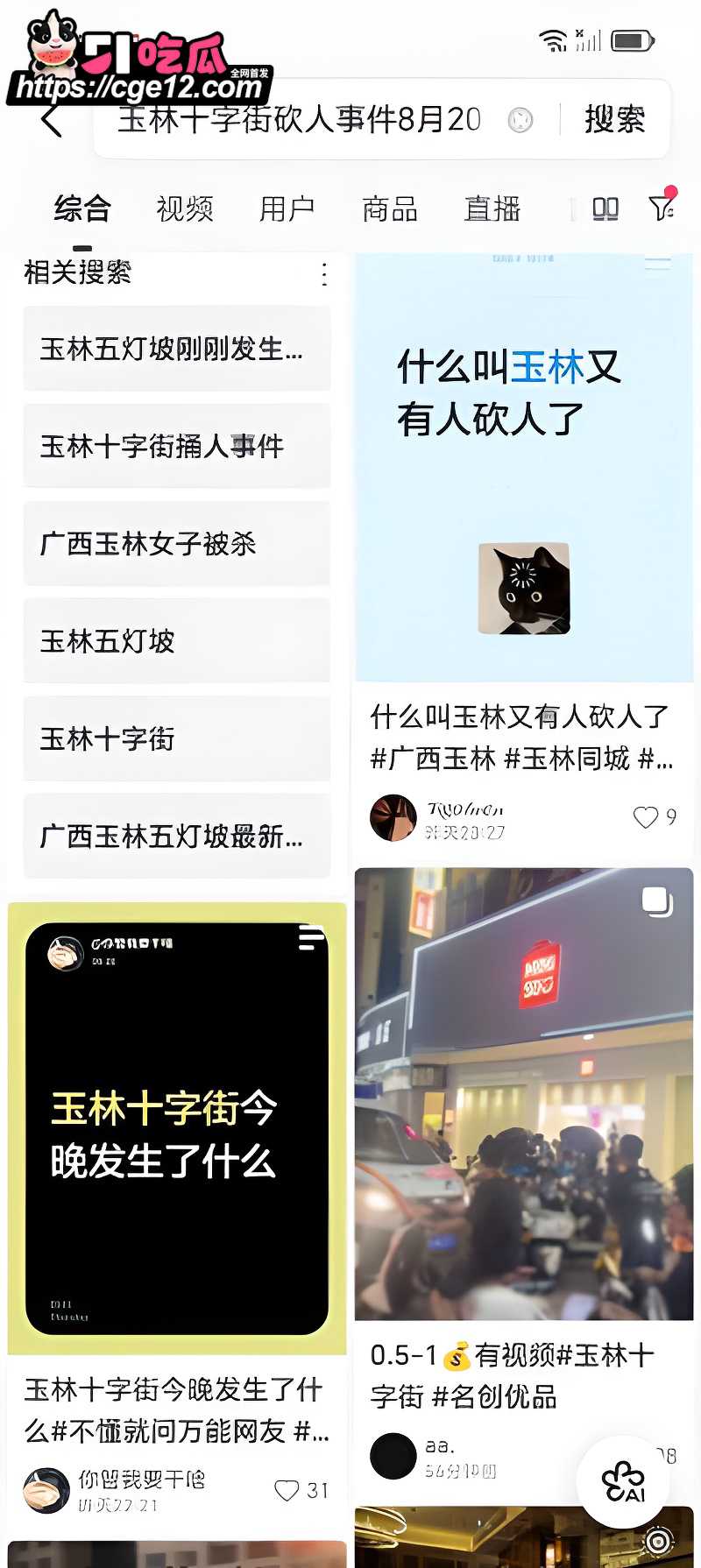 广西玉林十字街砍人事件 14