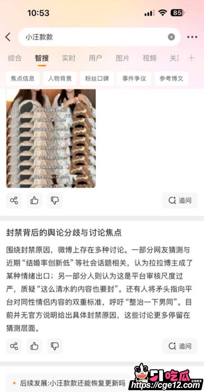 网红拉拉情侣 小汪款款 全平台突然禁关 8