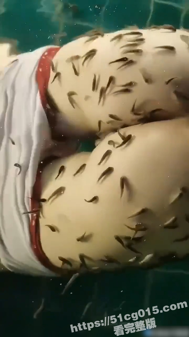 鱼疗吃逼啃翘臀 长腿相关图片