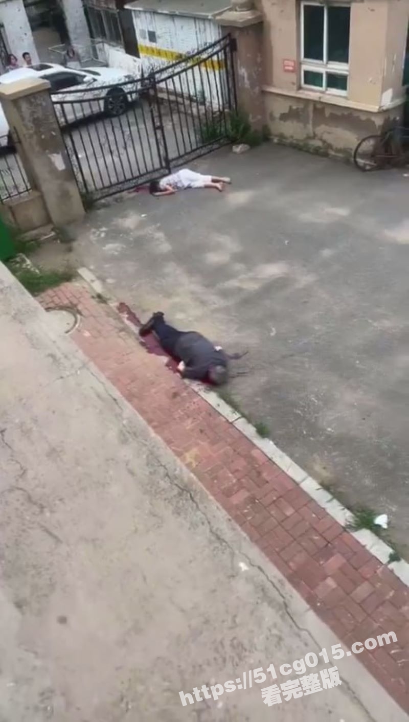 沈阳铁西区兴华南街无相关图片