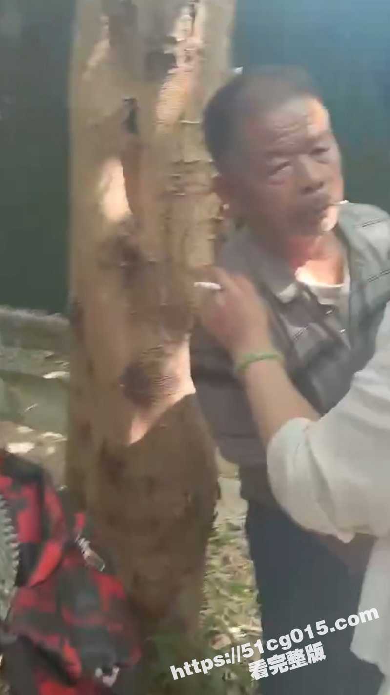 老年娱乐场所 小树林相关图片