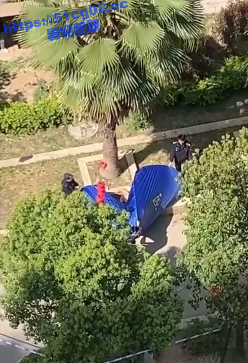 浙江一男子为女主播抛相关图片