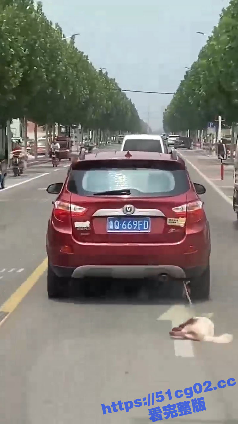 山东临沂一SUV 用相关图片