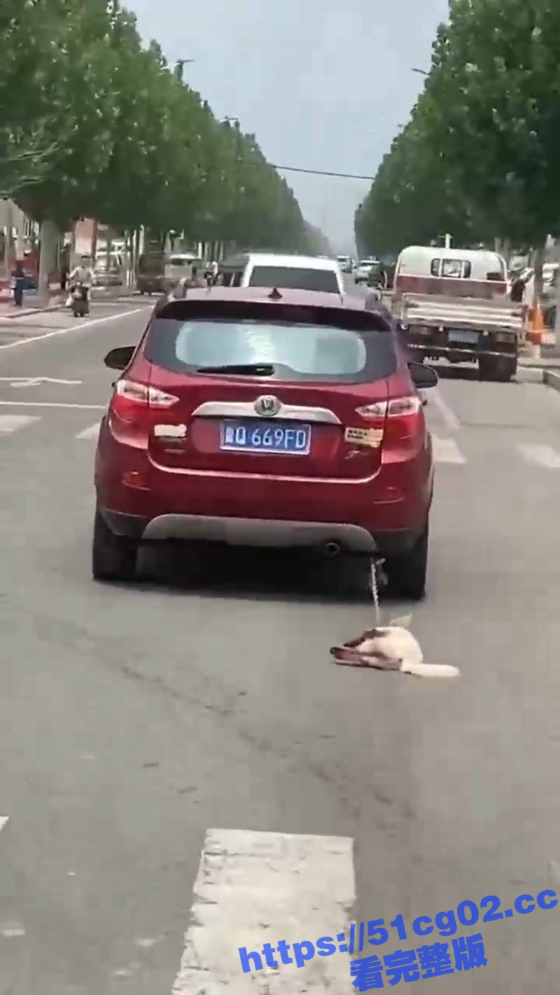 山东临沂一SUV 用相关图片