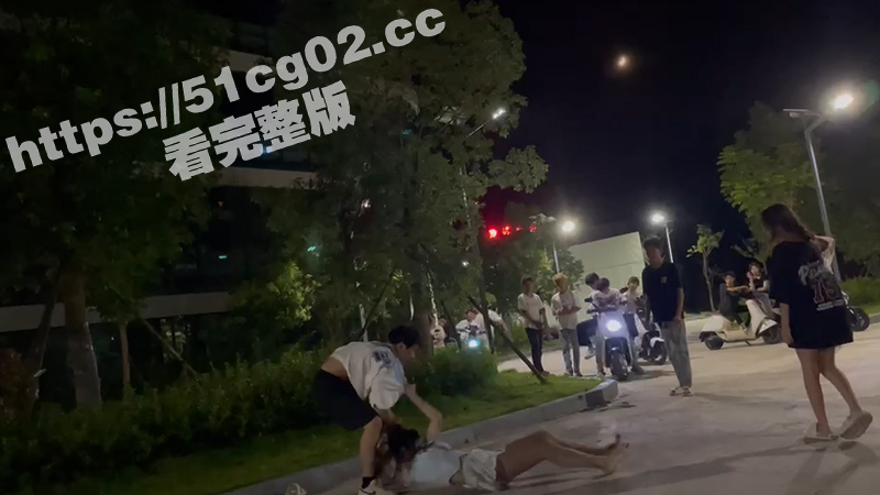 t0版本小仙女也要逆相关图片