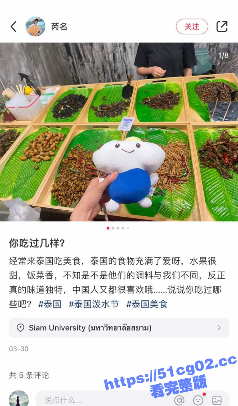 泰国失踪中国女子残骸相关图片