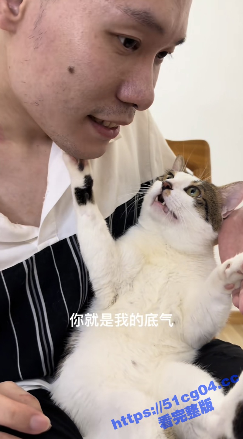 抖音40万粉丝宠物博相关图片