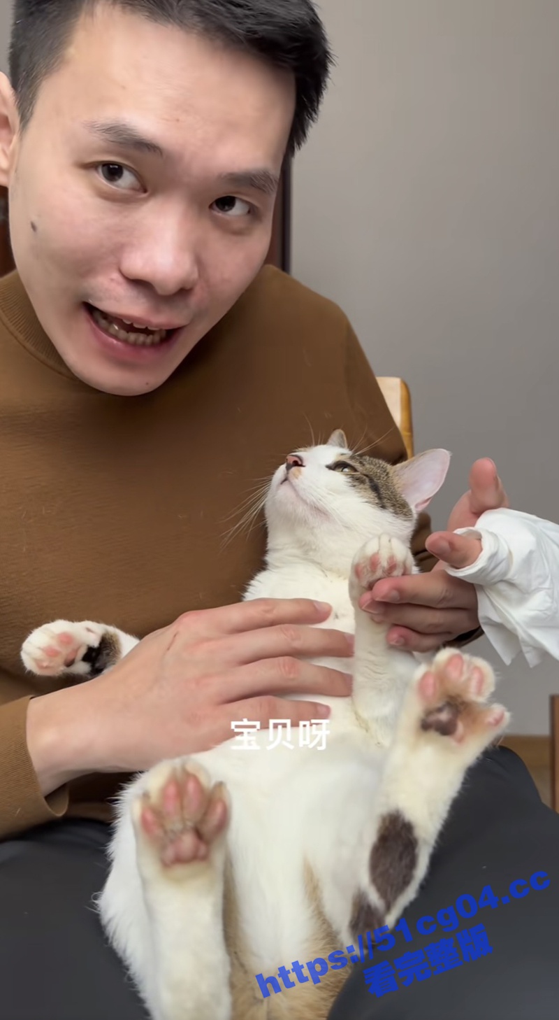 抖音40万粉丝宠物博相关图片