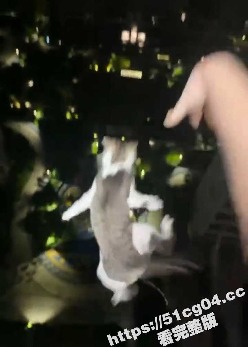 武汉大学两女生合租 相关图片