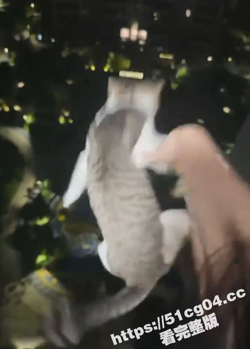 武汉大学两女生合租 相关图片