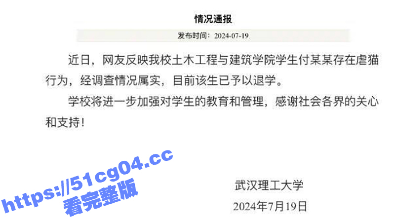武汉大学两女生合租 相关图片