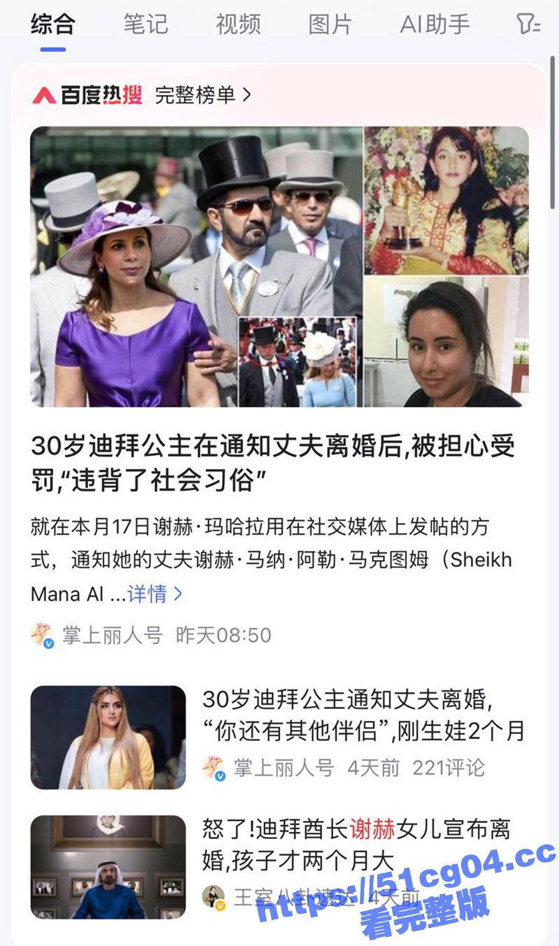 迪拜公主霸气休夫 生相关图片