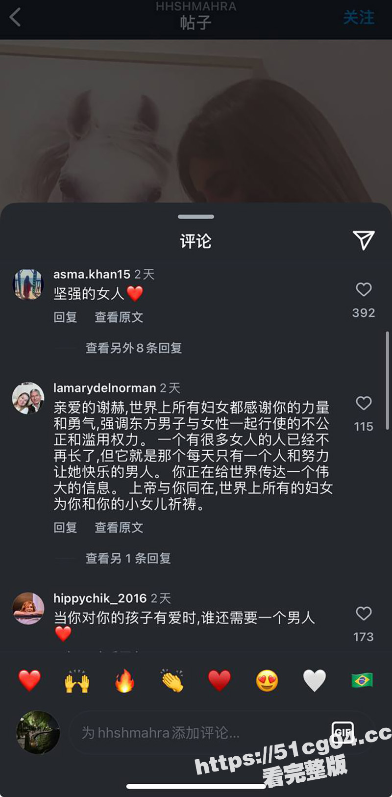 迪拜公主霸气休夫 生相关图片