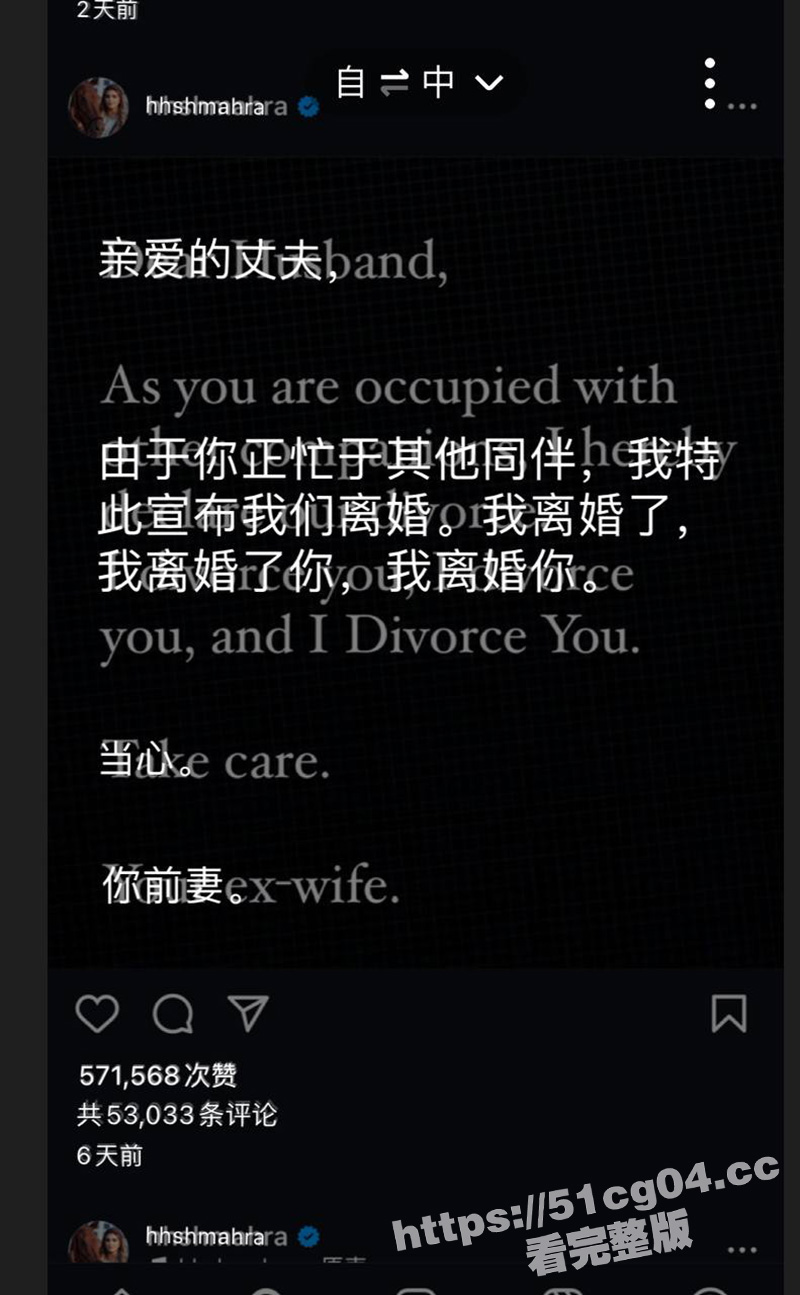 迪拜公主霸气休夫 生相关图片