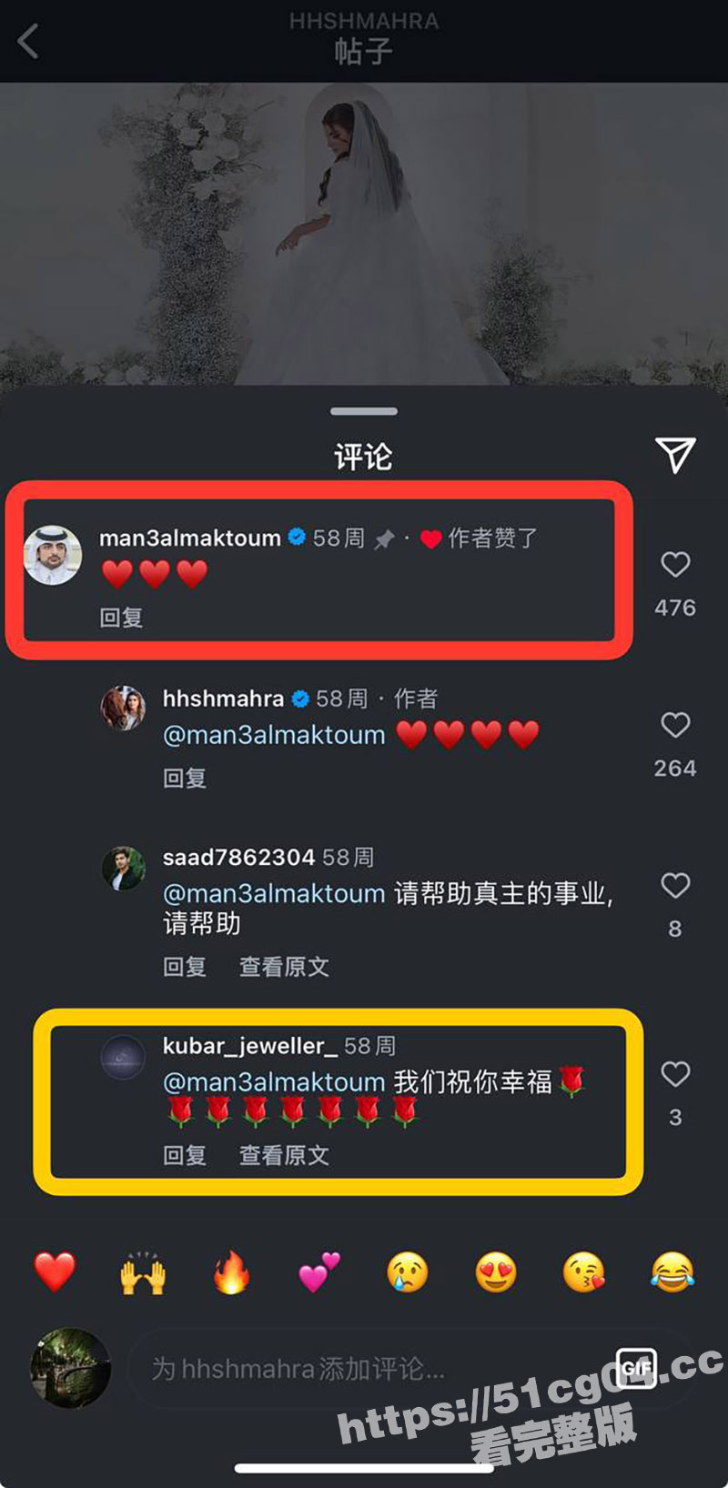 迪拜公主霸气休夫 生相关图片