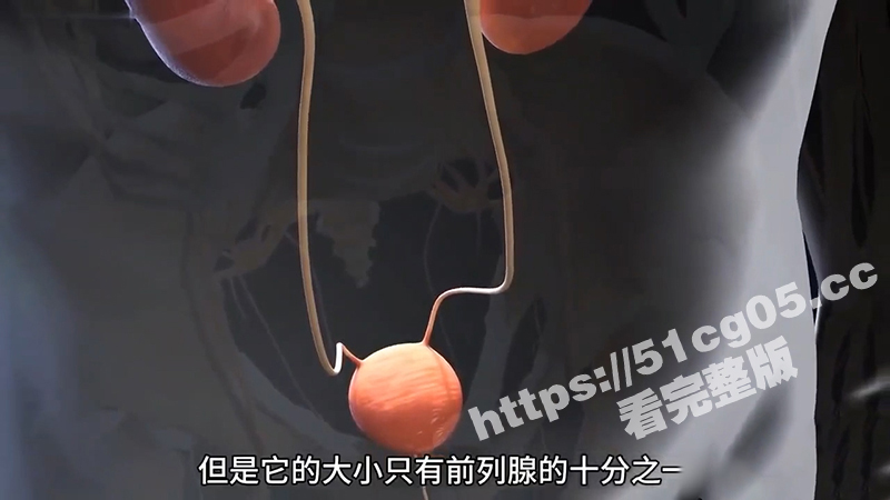 性爱课堂 带你领略女相关图片