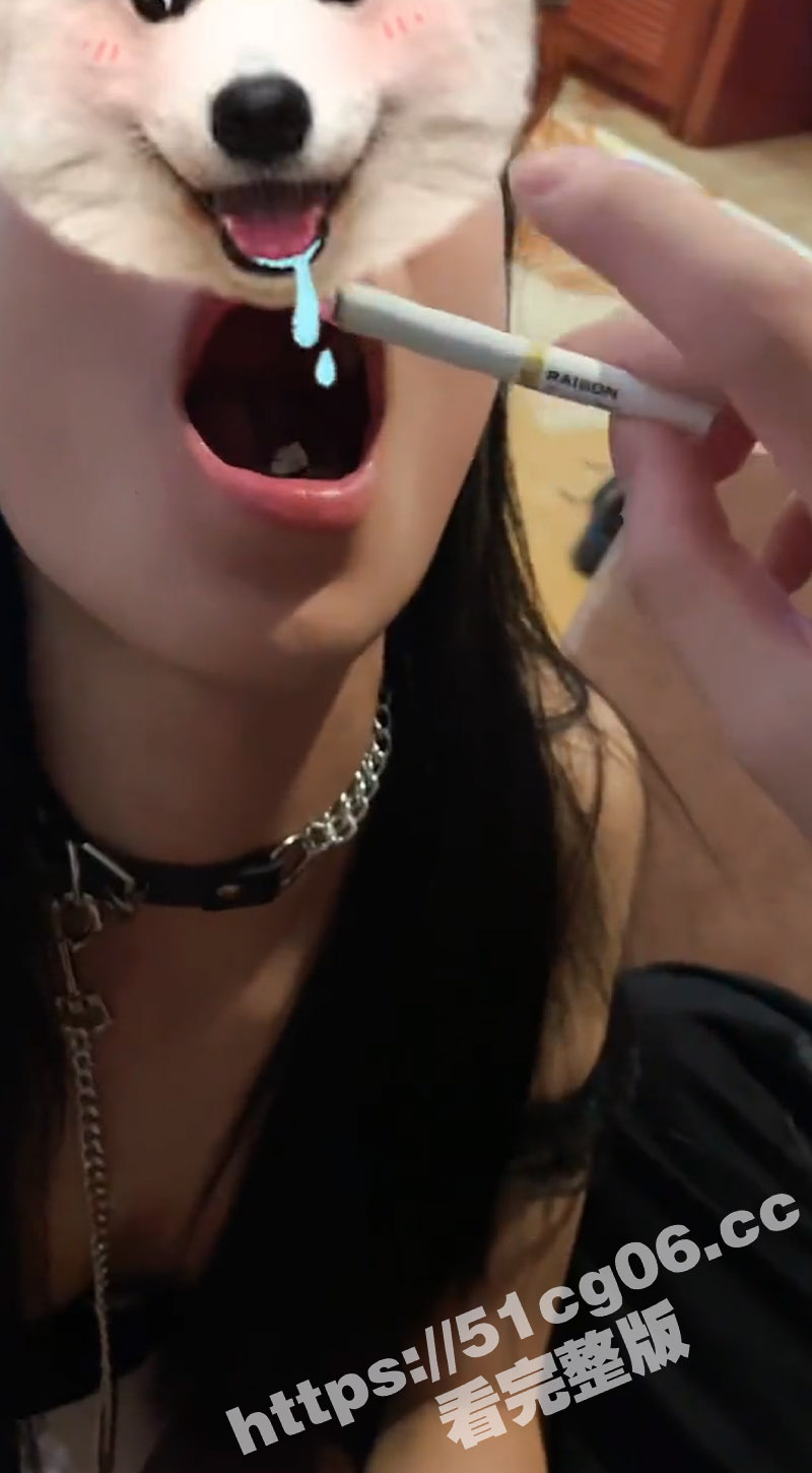 圈养调教小母狗！小圈相关图片