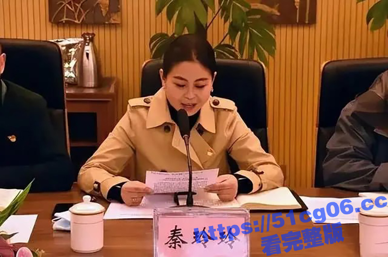 美女副县长秦玲玲 为升官沦为高官玩物 长相甜美升得急跌得快 只有中学学历却上位神速