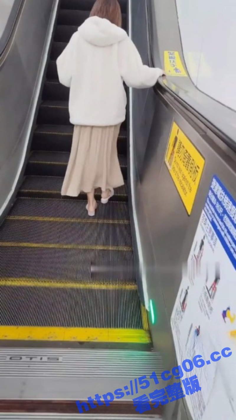 偷拍大神商场抄底多位高颜值少妇 丰胸翘臀吸引眼球 骚穴风光一览无余！