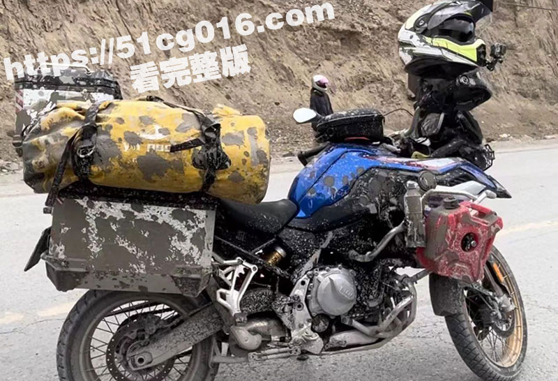 坦克300女车主在2相关图片