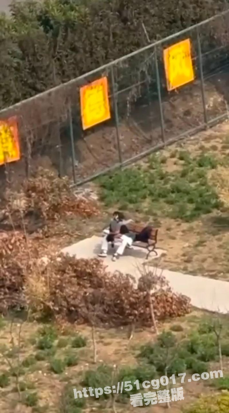 菩提树上菩提果 菩提相关图片