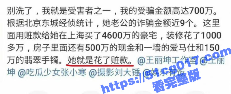 女明星王丽坤的富豪老相关图片