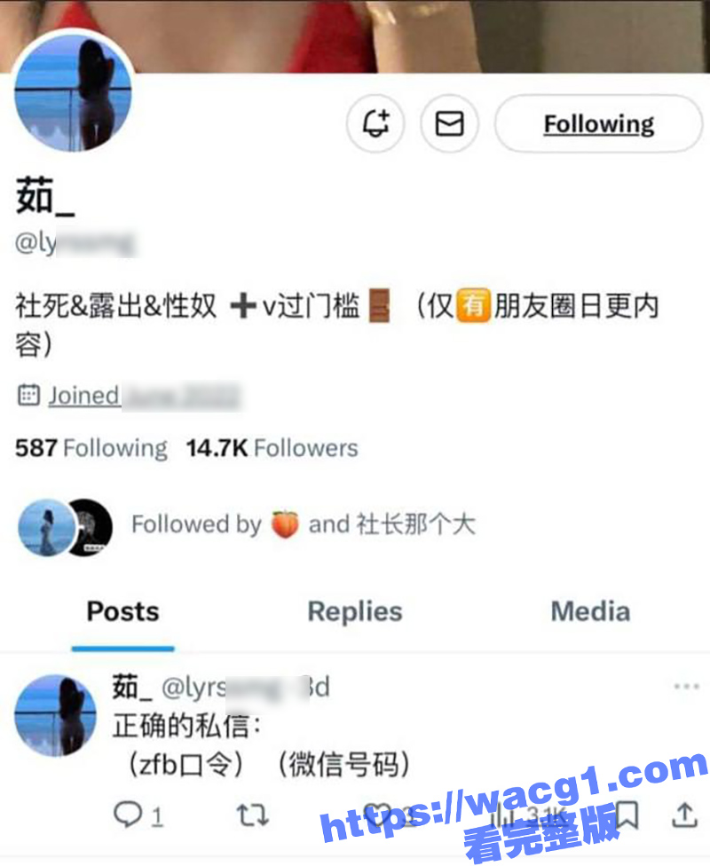 加利福尼亚大学牛咏茹相关图片