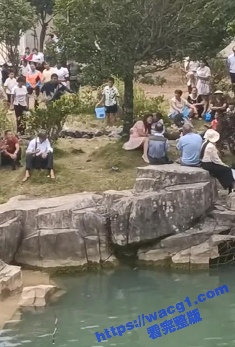 贵州女子跟情夫七夕相约 正你侬我侬之时 被丈夫抓奸用树枝猛抽 BGM非常应景！