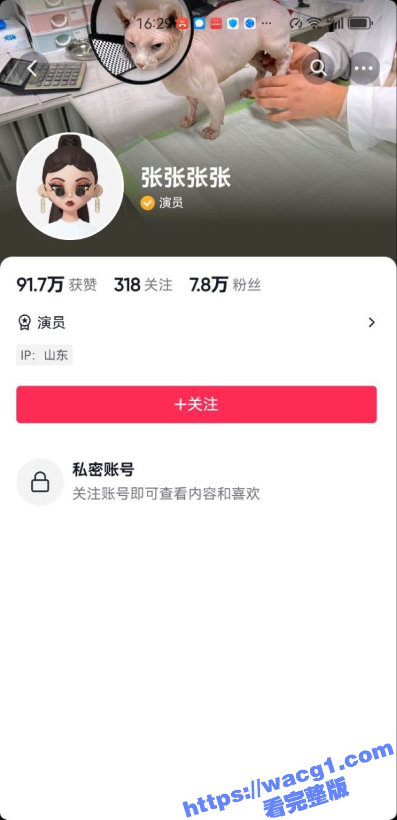 演员张译丹不雅视频流相关图片
