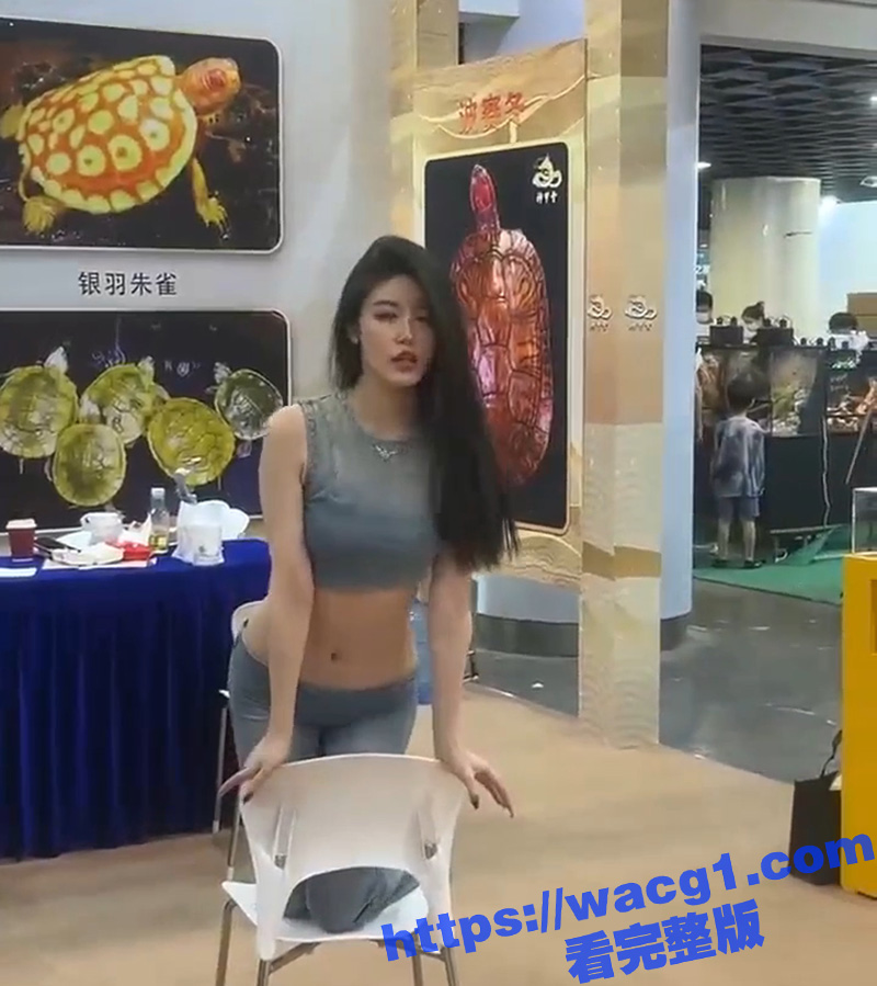 上海龟展现场 性感模相关图片